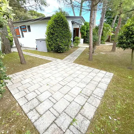 In 54702 * Бибионе